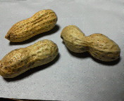 ��t���Y�B