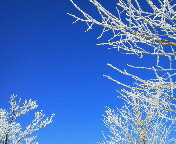 �_�C�������h�_�X�g�������Ă����B