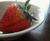 �����������B