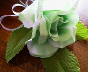 ���Ǝ��ł����B