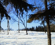 �����V�C���ȁ[�B