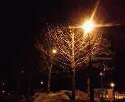 �܂��Ⴊ���邩��A�����߂����B