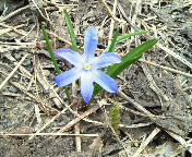 �t�炵���B