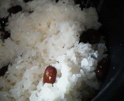 �k�C���̐Ԕт͊Ô[���ł��B