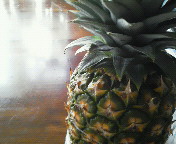 �ς��Ȃہ[�I