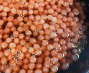 �o�����ďݖ��Ԃ������邾���B�����͂����炲�͂�I