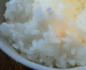 �����������͂�I