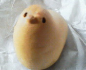 ���������Ă�B