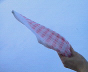 �V�C�\��ŔG�ꂽ�^�I����U��񂷂Ɠ���C���ƌ����̂ł���Ă݂��B�y�������z