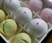 �㐶�َq�������[�T���W�[