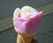 �o�o�w���[�I