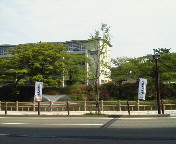 ����������Ă�