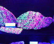 �]�����z