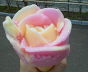 �o�o�w���ӂ�����