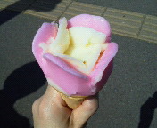 �Ō�̃o�o�w���[