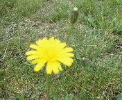 �����������񂢂�B