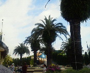 �����c�I