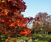 �䂫�ނ����炯