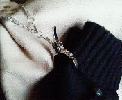 �O���[�u�z���_�[�B