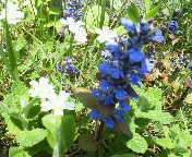 ���낢��炢�Ă�