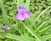 �����T�L�c���N�T