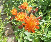 �R�E�����^���|�|