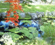 �g�t���Ă�B