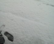 ���ɗ����B