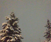 ��������~���Ă�B