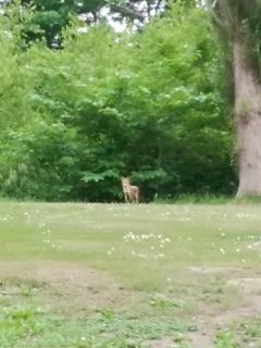 ���[���������[