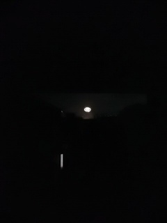 �����̉ԉ΂�������ƌ�����B